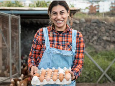 Egg Packer Jobs in the USA